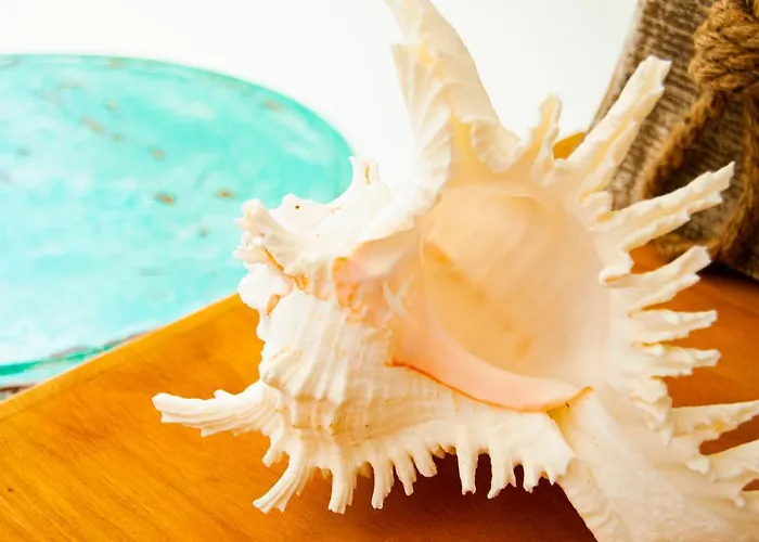 Turquesa Beach&pool *