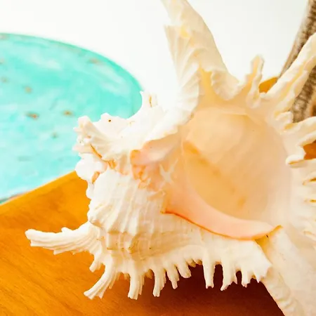 Turquesa Beach&pool *